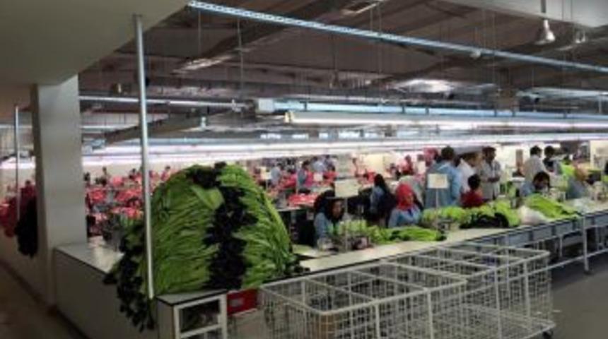 G&ouml;&ccedil; Ettikleri İllerde &Ouml;ğrendiler, İl&ccedil;elerinin Umudu Oldular