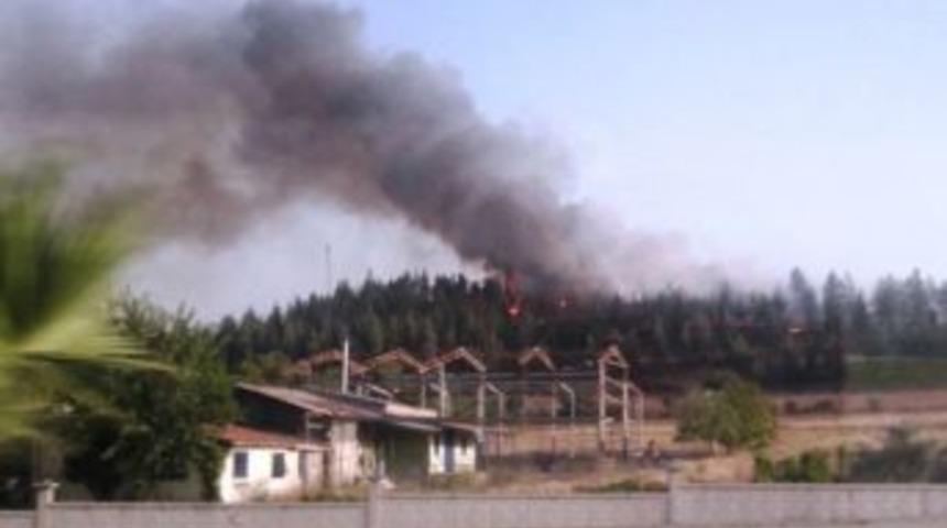 Orman Yangınına 1 G&ouml;zaltı