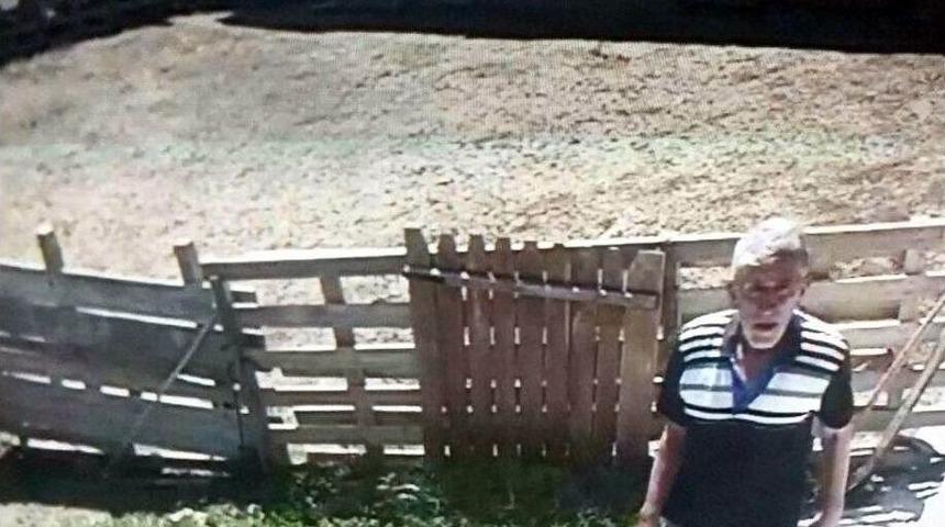 Ahırdaki G&uuml;venlik Kameraları Hayvan Hırsızlarını Yakalattı