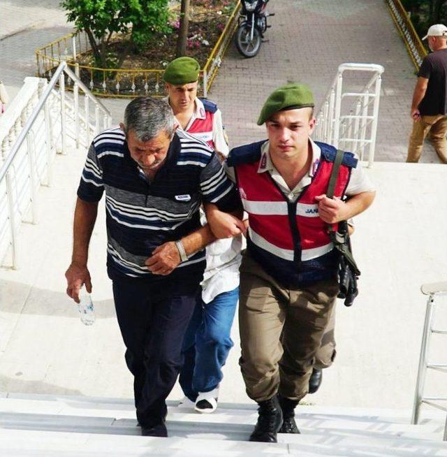 Ahırdaki Güvenlik Kameraları Hayvan Hırsızlarını Yakalattı