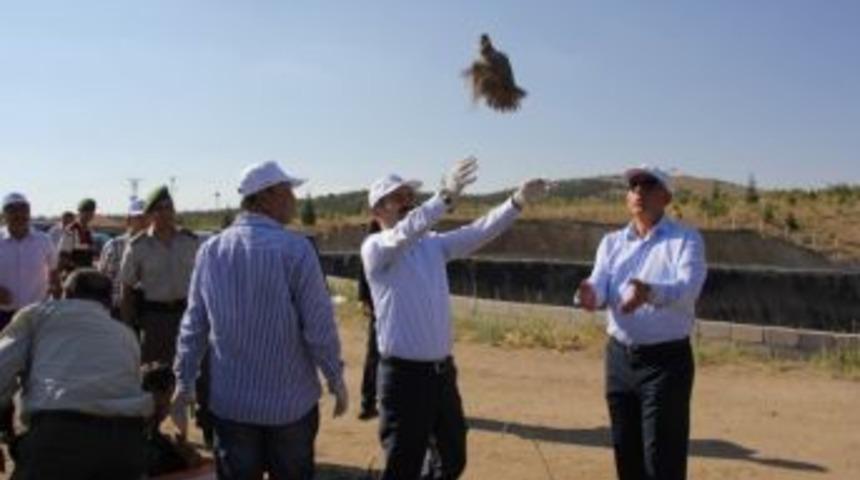 Nevşehir&rsquo;de Bin 500 Keklik Doğayla Buluşturuldu
