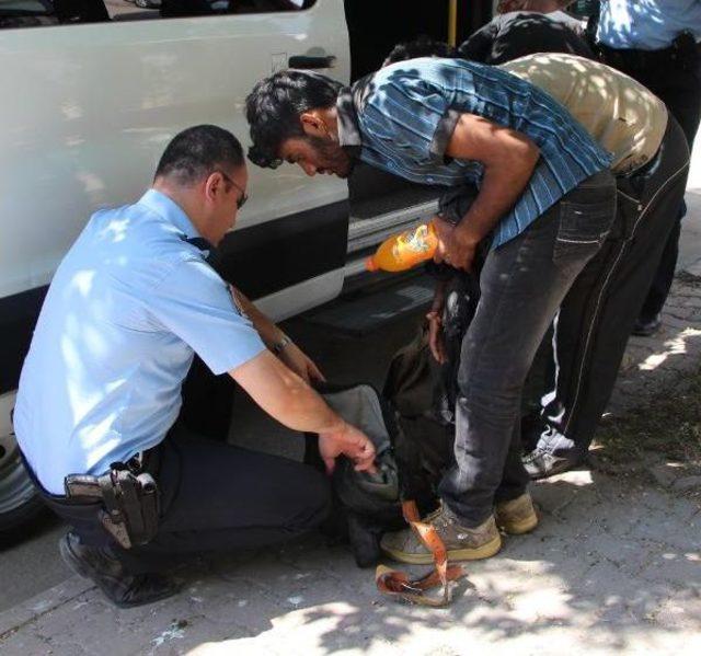 'banker Bilo' Filmindeki Sahne Sivas'ta Gerçek Oldu