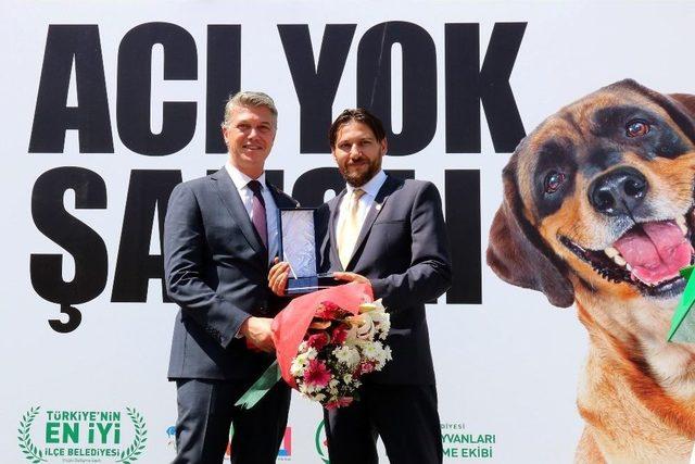 Köpekleri Kısırlaştırmada Yeni Yöntem: Laparoskopi