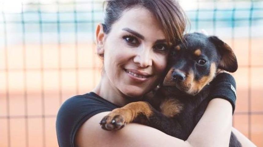 Kaybolan K&ouml;peğini Dedektif Gibi Arayıp Hırsızın Eşkaline Ulaştı