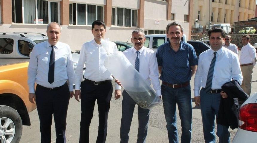 67 Bin Adet Yavru Sazan Balığı G&ouml;letlere Bırakıldı