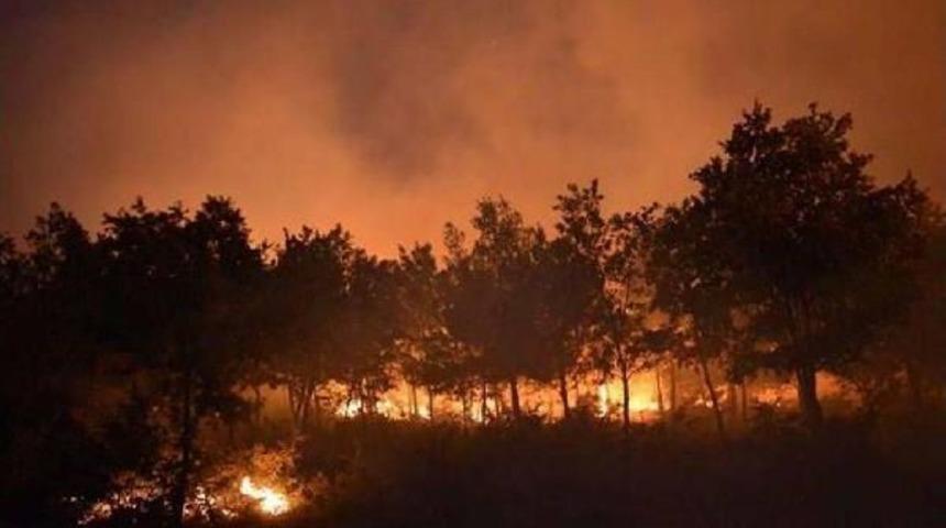 Bayındır'daki Yangına Karşı B&uuml;y&uuml;k Seferberlik