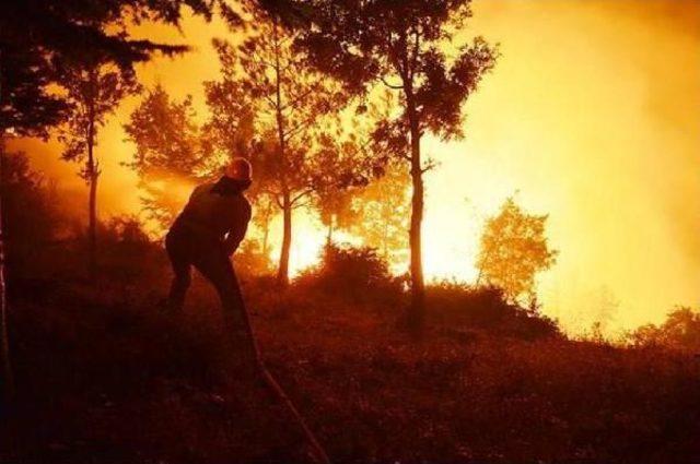 Bayındır'daki Yangına Karşı Büyük Seferberlik