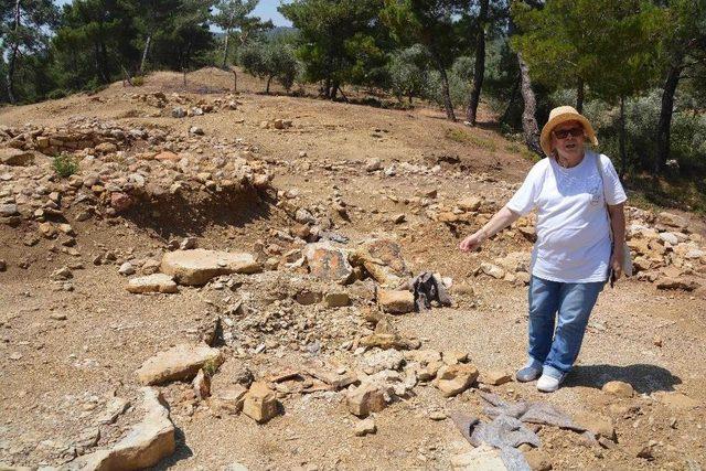 Söylentilere İnanan Defineciler Kazı Alanını Talan Etti