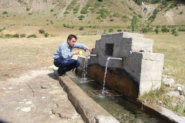 Kavurucu Sıcaklarda Ormandaki Çeşmeler Oltuluların Gözdesi Oldu