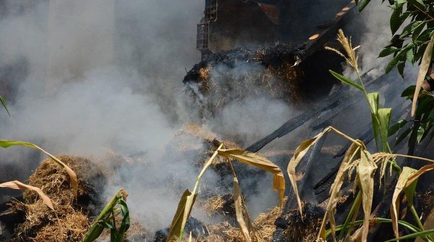 Erbaa&rsquo;da Ahır Yangını