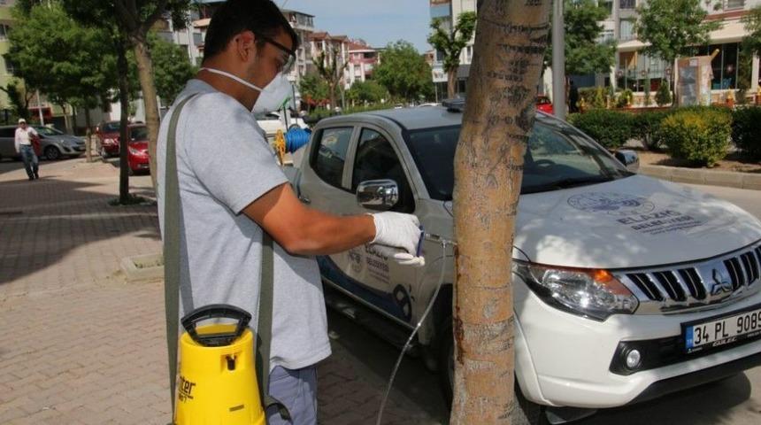 Elazığ&rsquo;da Ağa&ccedil;lar Enjeksiyon Y&ouml;ntemiyle Korunuyor