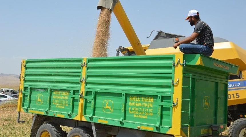 Kırıkkale&rsquo;de Nohut Hasadı Başladı