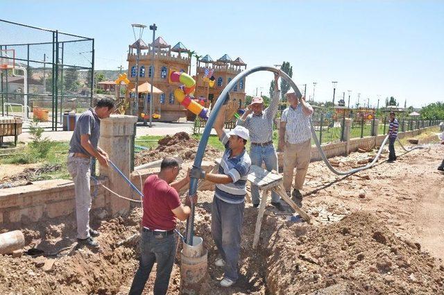 Botanik Parkta Sondaj Çalışması Gerçekleştirildi