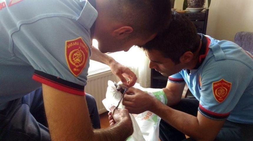 &Ccedil;atıda Mahsur Kalan Kuşu İtfaiye Kurtardı