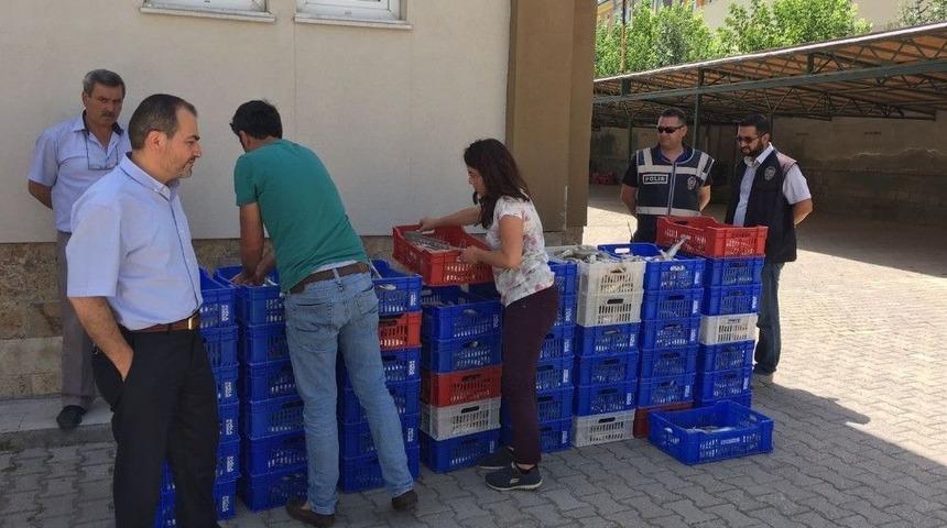 Beyşehir G&ouml;l&uuml;&rsquo;nde Yavru Balık Operasyonu