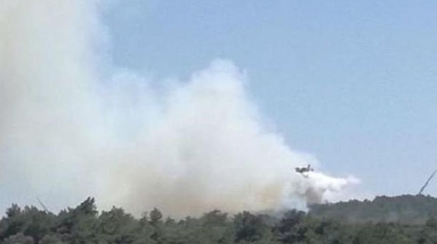 Urla'da Orman Yangını