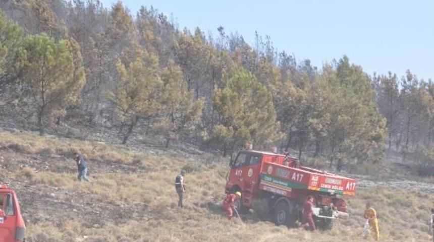 Aliağa'da 1 Hektar Kızıl&ccedil;am Ormanı Yandı