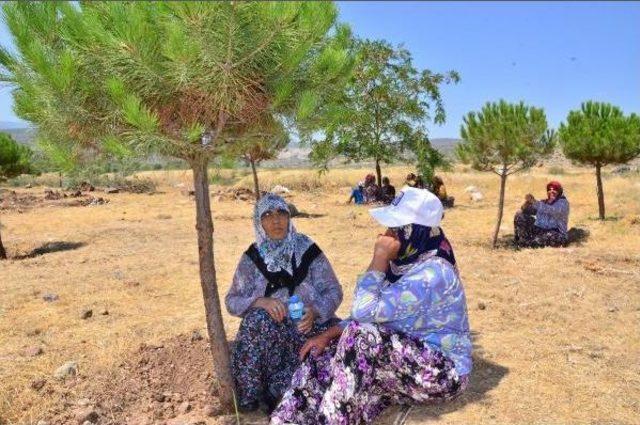 Ağaçların Sökülmesine Tepki Gösteren Köylülerden 10 Saatlik Direniş