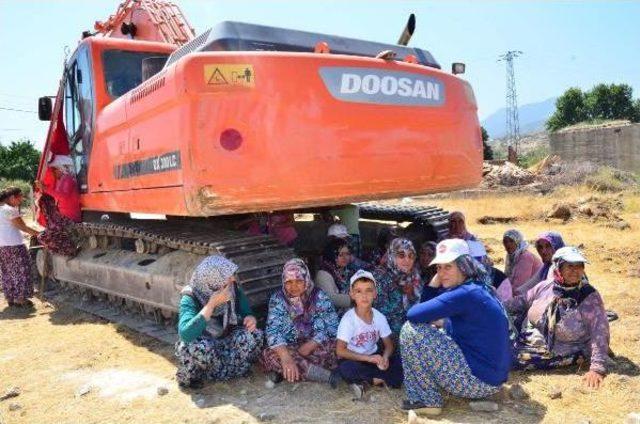 Ağaçların Sökülmesine Tepki Gösteren Köylülerden 10 Saatlik Direniş