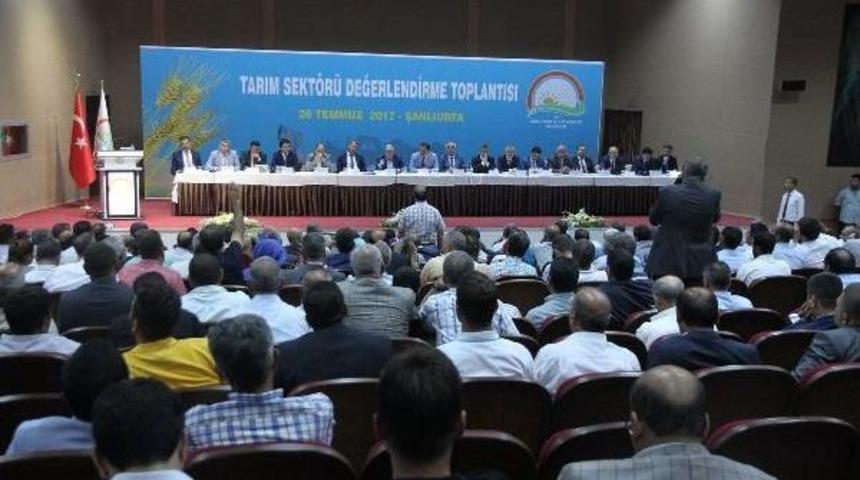 Bakanlar Fakıbaba Ve &Ouml;zl&uuml;, Esnaf Ziyaretinde (5)