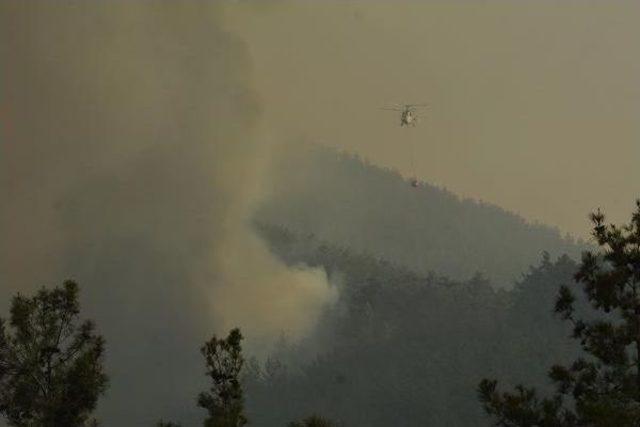 Bayındır'daki Yangına Karşı Büyük Seferberlik (2)