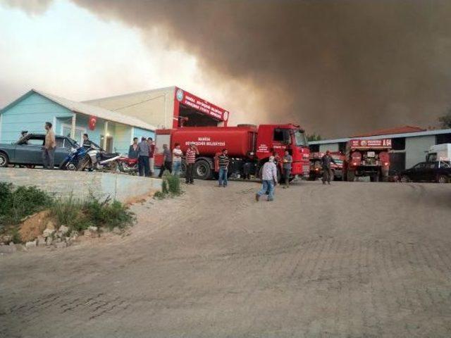 Bayındır'daki Yangına Karşı Büyük Seferberlik (2)