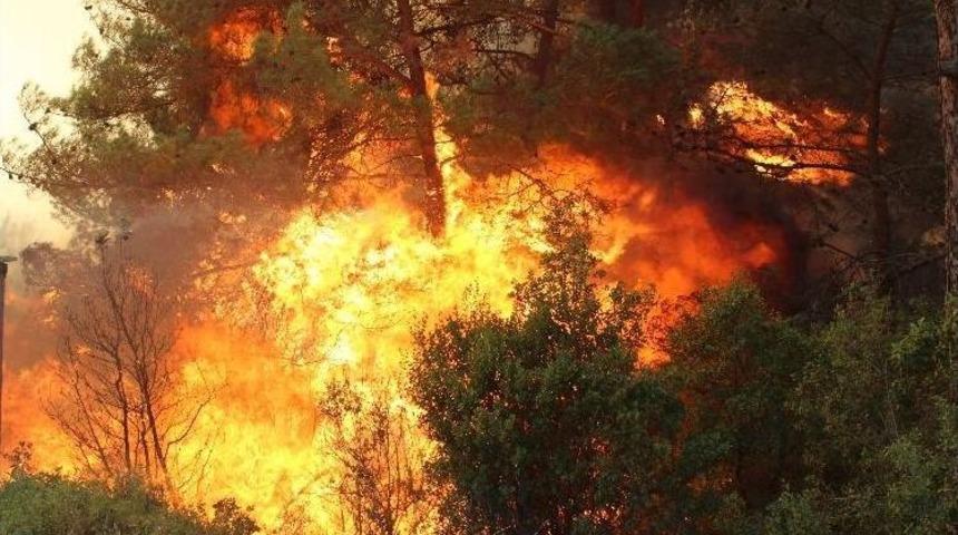 İzmir&rsquo;deki Yangına Havadan M&uuml;dahale Başladı