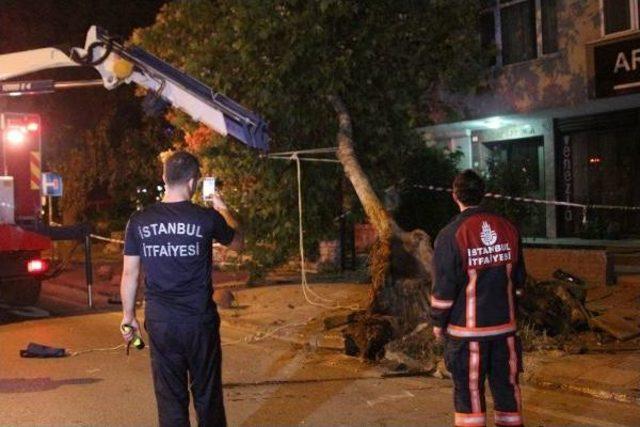 Kadıköy'de Trafik Kazası: 1 Ölü, 1 Yaralı