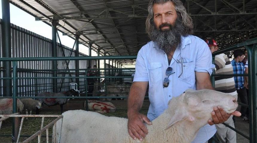 K&uuml;&ccedil;&uuml;kbaş Hayvan Satıcıları Bu Seneden &Uuml;mitli