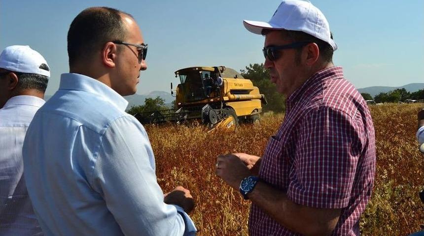 Bilecik&rsquo;te Karabuğdayın Hasadı Yapılmaya Başlandı