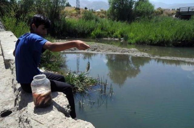 Sazan Avlayıp Okul Harçlığı Biriktiriyorlar