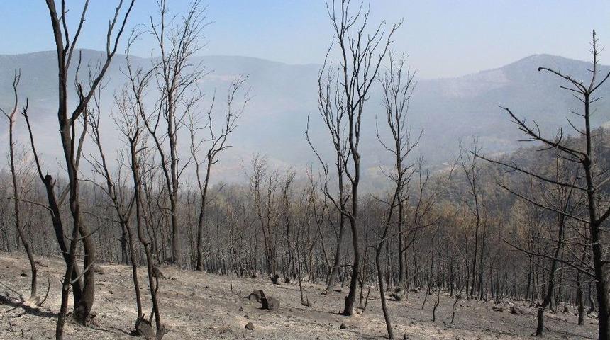 500 Hektarda Etkili Olan Yangın Kısmen Kontrol Altında