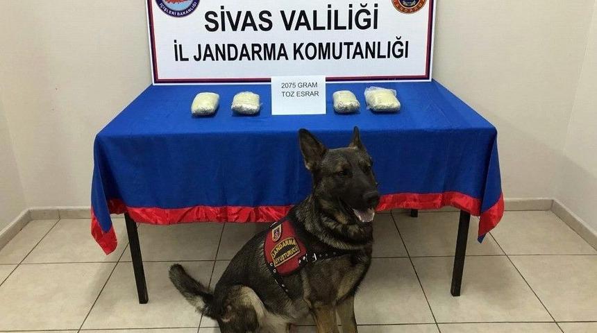 63 Yaşındaki Kadın Bacağında Sarılı Esrarla Yakalandı