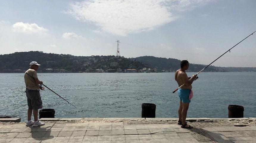(tekrar) Sahilde Yürüyüş Hayatını Kararttı