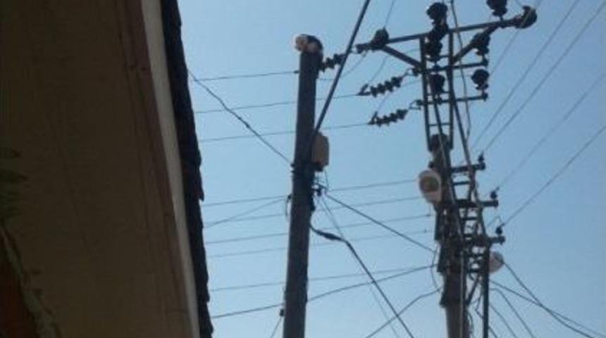 Telefon Direğinde Mahsur Kalan Kediyi İtfaiye Kurtardı