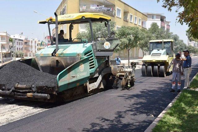 Yaylalardan Sahillere Uzanan Yol Seferberliği