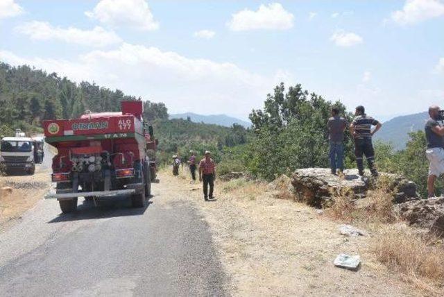 İzmir'deki Orman Yangınında 500 Hektar Zarar Gördü