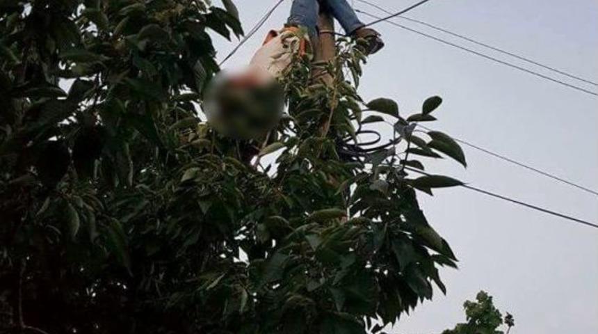 Arızayı Gidermek İ&ccedil;in Elektrik Direğine Tırmandı, Canından Oldu