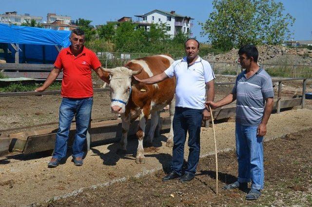 Kurban Bayramı Hazırlıkları