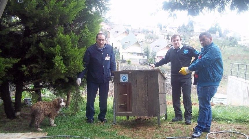 Ortahisar&rsquo;dan Sokak Hayvanlarına Barınak