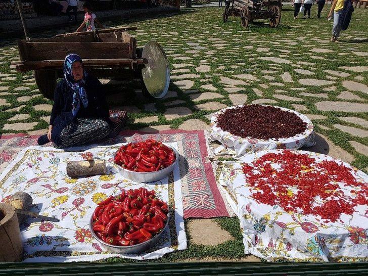 Başkent’in Orta Yerindeki Köyde Hasat Heyecanı G2