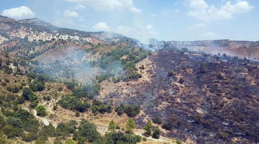 Ankara’da Orman Yangını
