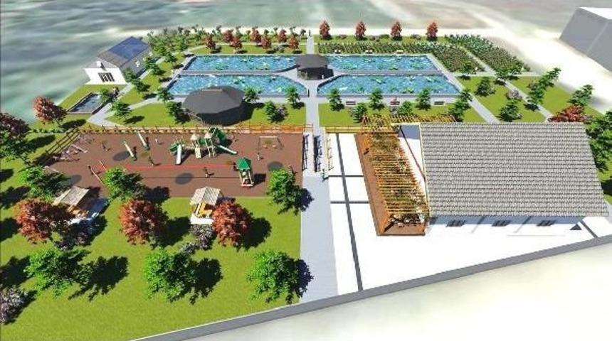 Bolu'da, 'nilüfer Ve Bonsai Sanat Parkı' Kuruluyor