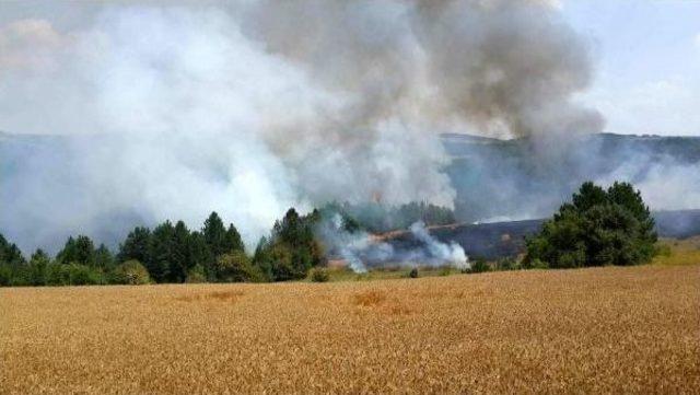 Karabük'te Tarladan Çıkan Yangın Ormana Sıçradı