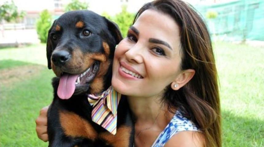 Dedektif Gibi Iz S&uuml;r&uuml;p, &Ccedil;alınan K&ouml;peğini Buldu