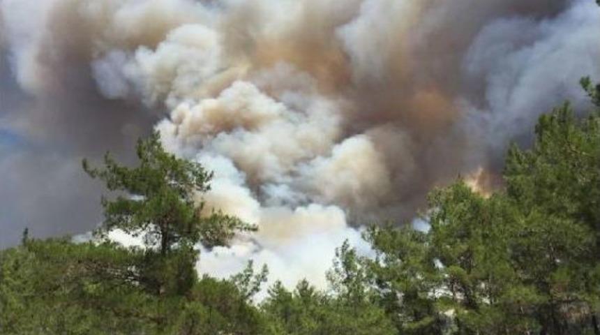 Marmaris'te Korkutan Orman Yangını (2)