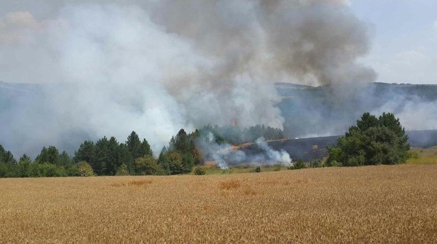 Karab&uuml;k&rsquo;te Orman Yangınları