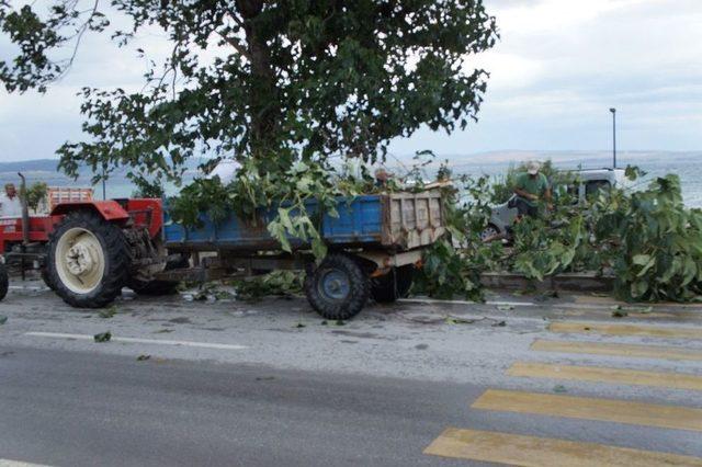 Lapseki’de Sel Felaketi