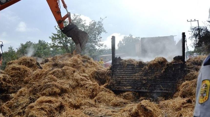 Elektrik Tellerine Değen Saman Y&uuml;kl&uuml; Kamyon K&uuml;l Oldu