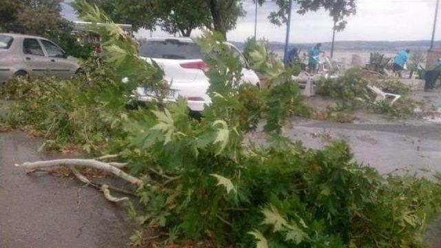 Lapseki'de Yağmur Ve Fırtına Etkili Oldu